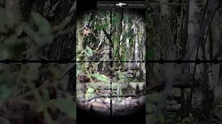 Airsoft Gameplay  Hits 45 airsoft gameplay fun sports combat [upl. by Zildjian685]