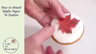 How To Attach Wafer Paper To Cookies Wafer paper and Cake Decorating Tutorials [upl. by Eibur]