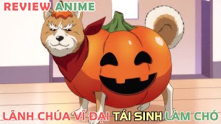 Lãnh Chúa NOBUNAGA Vĩ Đại Chuyển Sinh Làm Chó  REVIEW PHIM ANIME HAY [upl. by Conias]