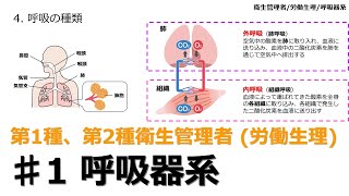 【♯1 呼吸器系労働生理】2024年版 衛生管理者 衛生管理者試験をわかりやすく解説 聞き流し [upl. by Aubert]