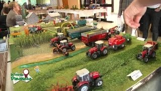 Linfiltrée du dimanche  Exposition de Miniatures Agricoles 2017 à Oizé [upl. by Miculek]