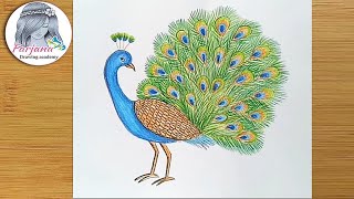 How to draw a Peacock step by step [upl. by Isnam]