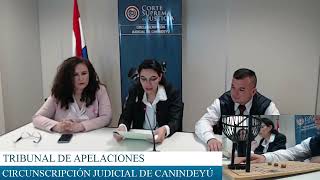 11 10 2024 EXPEDIENTES SORTEADOS POR EL TRIBUNAL DE APELACIÓN PENAL DE CANINDEYÚ [upl. by Lahey818]