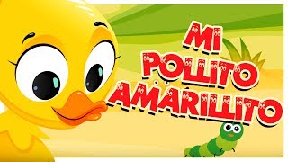 Mi Pollito Amarillito  Canti Rondas  Canciones Infantiles [upl. by Rayford]