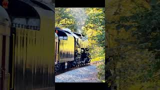 Iron Horse Fall Foliage Ramble Passenger POV Reading amp Northern T1 2102 steamengine steamtrain [upl. by Alfredo]