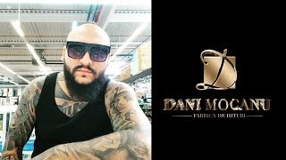 Dani Mocanu  Tot aurul din lume  Official Audio [upl. by Jacobson]