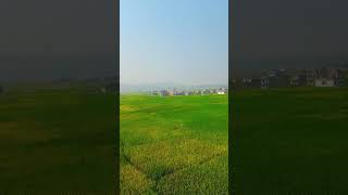 Surkhet valley shortsvideo [upl. by Heddi]