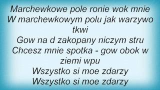 Lady Pank  Marchewkowe Pole Lyrics [upl. by Stillmann]