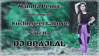 Hindi Song mixkuchh geet labo pe sajte hai Remix by Dj Brajlal Balaghat Mandla Remix [upl. by Enirehtakyram79]