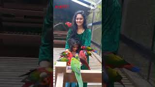 Giniye Giniye kannada kids song trending cutebaby cute [upl. by Atiuqaj]