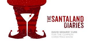 The Santaland Diaries 2016 [upl. by Felipa]