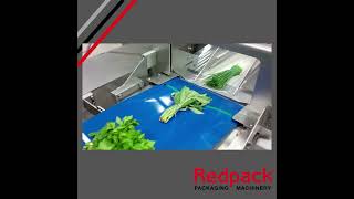 Redpack NTS Showing Its Flow Wrapping Versatility [upl. by Wilber]