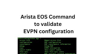 Arista EVPN configuration syntax checker [upl. by Ardnued163]