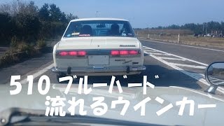 Bluebird 1800 SSS coupe Turn signal flowing ブルーバード 510 流れるウインカー （YouTube 動画） [upl. by Corene]