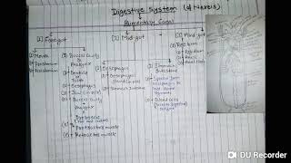 Digestive system of Nereis Bsc 1st year  YashPartner [upl. by Cherri]