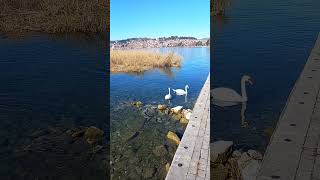 Ohrid lake [upl. by Yelrahc]