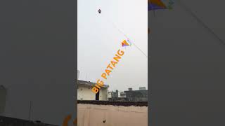 Big Gudda Flight🪁 🛫viralvideo kite kiteflying patang patangbaazi [upl. by Sivahc]