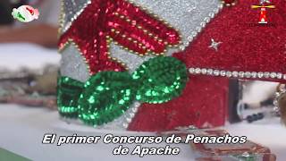 PRIMER CONCURSO DE PENACHOS 2017 [upl. by Necyla]