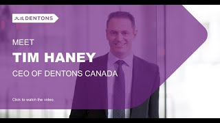 Meet Tim Haney CEO of Dentons Canada [upl. by Aciras]