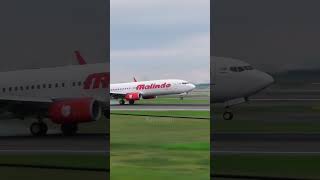 9 Landing Plane Spotting Airbus A320 and Boeing 737 jetliners pesawat [upl. by Amy824]