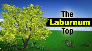 The Laburnum Top Class 11 Poem Animation in English [upl. by Junia]