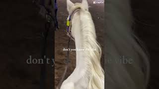 That’s my life fypシ゚viral horse horsingaround equestrian horsey ponyhorse horsegirl [upl. by Elleinod937]