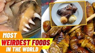 10 MOST WEIRDEST FOODS IN THE WORLD [upl. by Frieder552]