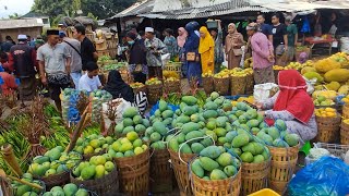 SENANG NYA BELANJA DI PASAR TRADISIONAL PASURUAN BUAH MELIMPAH HARGA MURAH MURAH [upl. by Ardnu533]