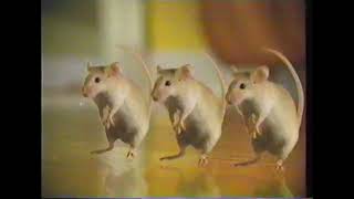 Other  1997  Everfresh with Activated Charcoal Cat Litter Dancing Mice Commercial [upl. by Naot138]