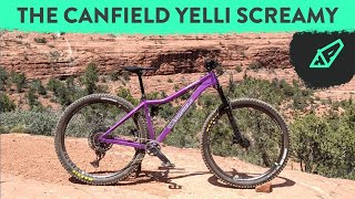 Canfield Yelli Screamy  A Modern Remake of an Old Classic  The 2022 Yelli Screamy [upl. by Bouchier331]