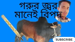 গরুর জ্বররোগ নাকি অন্য রোগের লক্ষণ [upl. by Shinberg435]