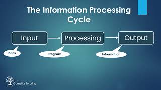 Information Processing Cycle CAT [upl. by Vidovik384]