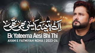 Ayyam e Fatmiyah Noha 2024  Ek Yateema Aesi Bhi Thi  Syed Raza Abbas Zaidi  Bibi Fatima Noha 2023 [upl. by Car846]