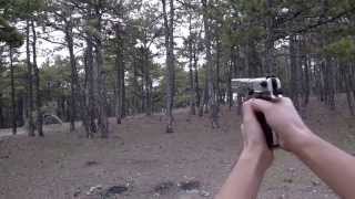 Walther CP88 Competition 6 Co2 Airgun Shooting [upl. by Zachary167]