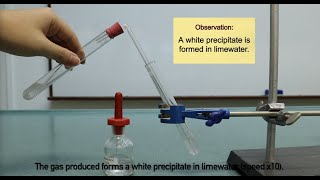 Reaction of Acid and Carbonate  test for carbon dioxide gas [upl. by Susann]