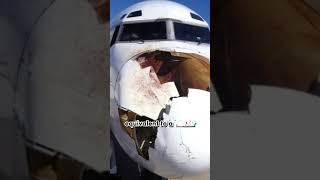 Bird Strike Test Engine shorts [upl. by Rebmaed]