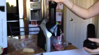 Yonanas Frozen Treat Maker [upl. by Dnesnwot]