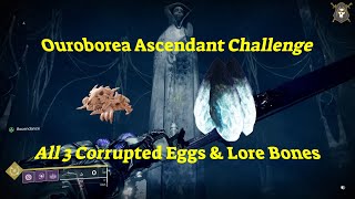 Ouroborea Ascendant Challenge 3 Corrupted Eggs and Lore Bones Oct82024 [upl. by Aaberg]