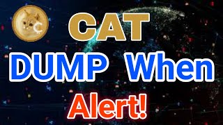 1000CAT Coin Huge EXPLOSION Price Prediction [upl. by Marinna]