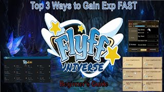 Flyff Universe  BEST 3 Ways to Gain the Most Exp FAST How to Level Like a Pro  Beginners Guide [upl. by Ahsinahs]