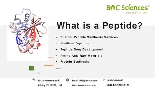 What is a Peptide  Peptides  Amino Acids  Peptide Synthesis  BOC Sciences [upl. by Ayekam]