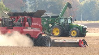 Harvest 2023  Case IH 8230 Axial Flow Combine Harvesting Soybeans  Ontario Canada [upl. by Reviere683]