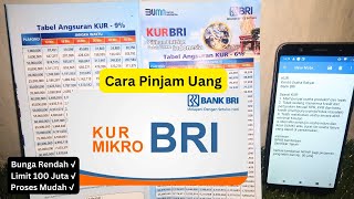 Cara Pinjam Uang Dana KUR BRI Ajukan Kredit Usaha Rakyat Bunga Lebih Rendah dari Pinjaman Online [upl. by Hanni503]