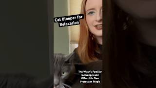 Witch’s Familiar Cat Blooper for Relaxation purr sound cat witch witchcraft reikihealing asmr [upl. by Jankey342]