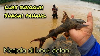 Menjala Di Sungai Pahang gengdunia fishing menjala funny [upl. by Oileduab]