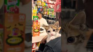 I took the cat from the bodega 🐈 catdistributionsystem [upl. by Janyte]