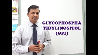 Glycophosphatidylinositol GPI  A Quick Review [upl. by Georgia]