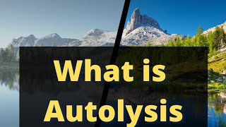 what is autolysis autolysis shorts lysosomes [upl. by Led331]