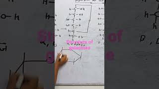 structure of galactose [upl. by Wrench]