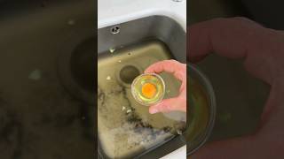 Süresi Dolmuş Yumurtaları Sakın Çöpe Atmayın  Tıkanmış Lavabo Nasıl Açılır Life Hacks [upl. by Juieta419]